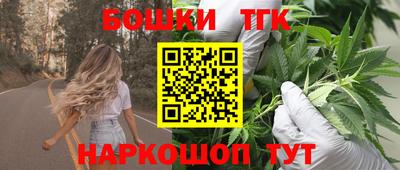 гидра Камышлов