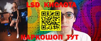 гидра Камышлов