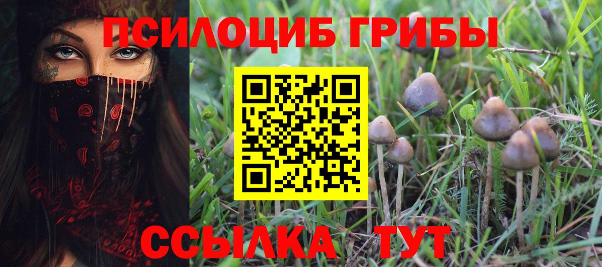 Коряжма  закладки  Вход с VPN  Галлюциногенные грибы прущие грибы 